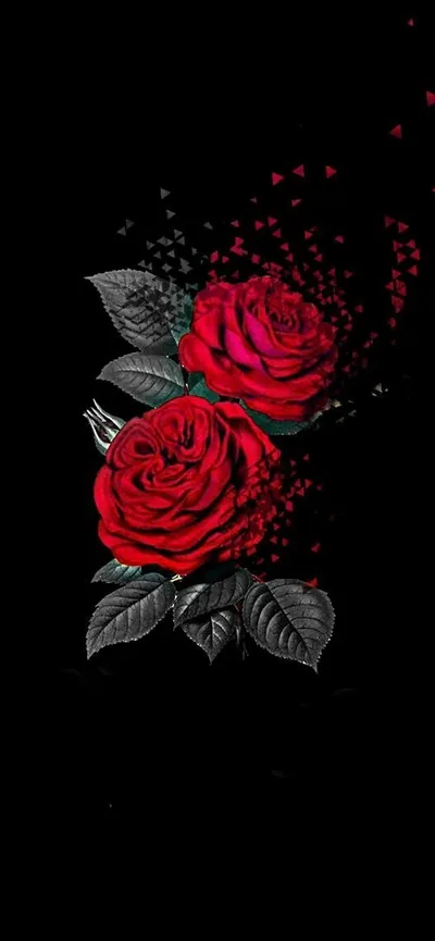 Two red roses sit low on a tall black frame while torn petal fragments drift up and to the right, leaving the top clear for icons.