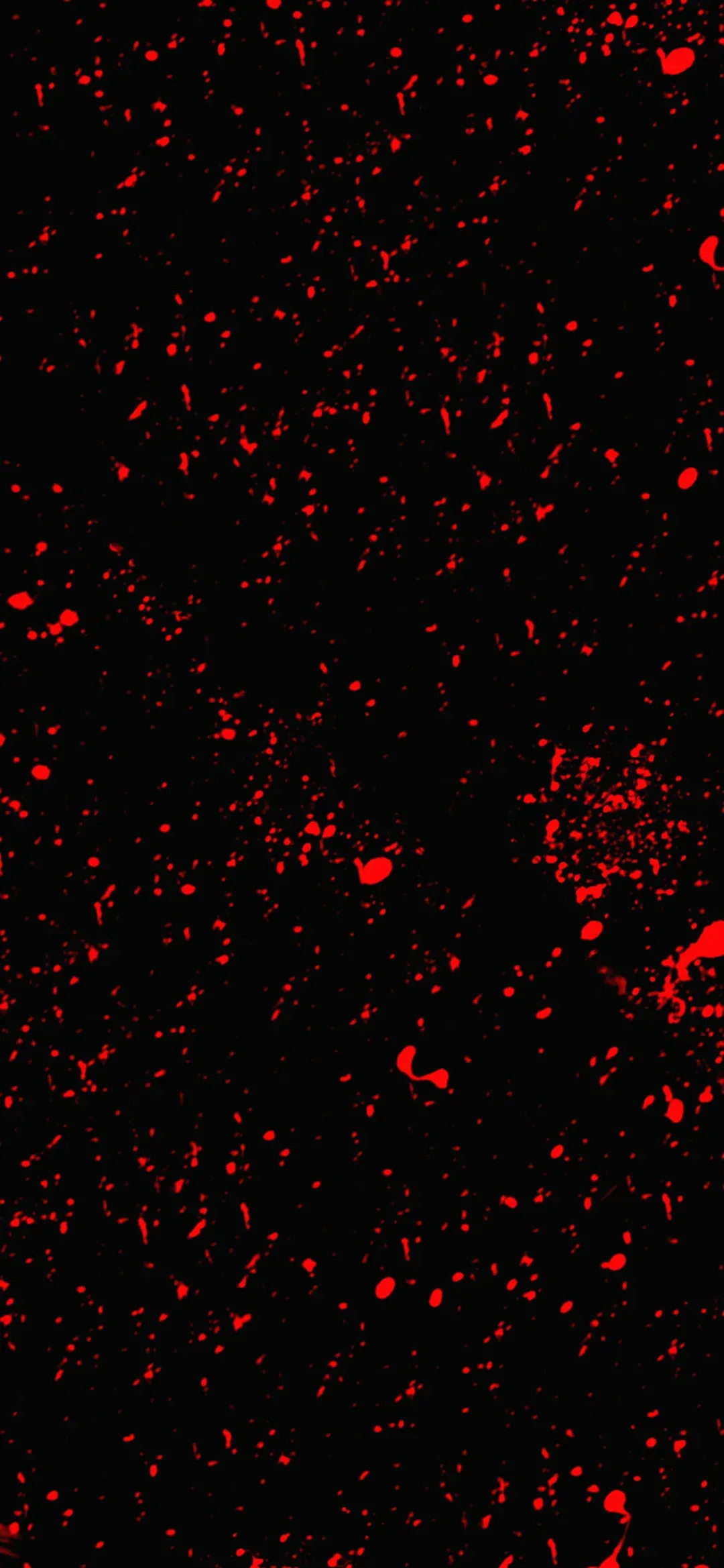 Red specks flick across black like paint shaken off a brush, heaviest along the right edge and thinning out near the top.