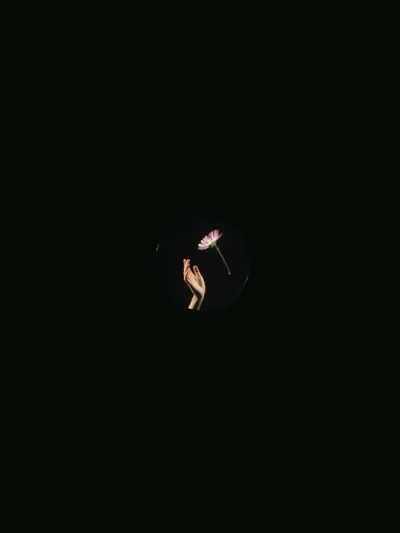 A tiny pool of warm light near the centre catches a hand holding a thin dried stem, everything around it swallowed in black.