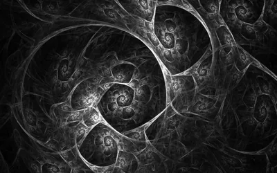 Coiled spiral arms repeat into smaller copies of themselves, drawn in fine grey filament over a black ground.