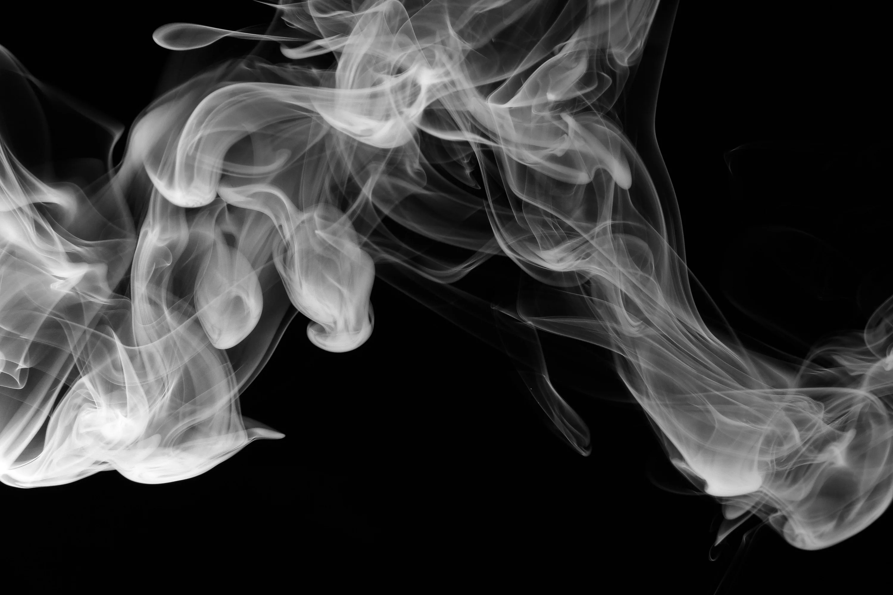 Sharp monochrome coils sweep diagonally from the lower left to the right edge, every fold in focus against a solid black backdrop.
