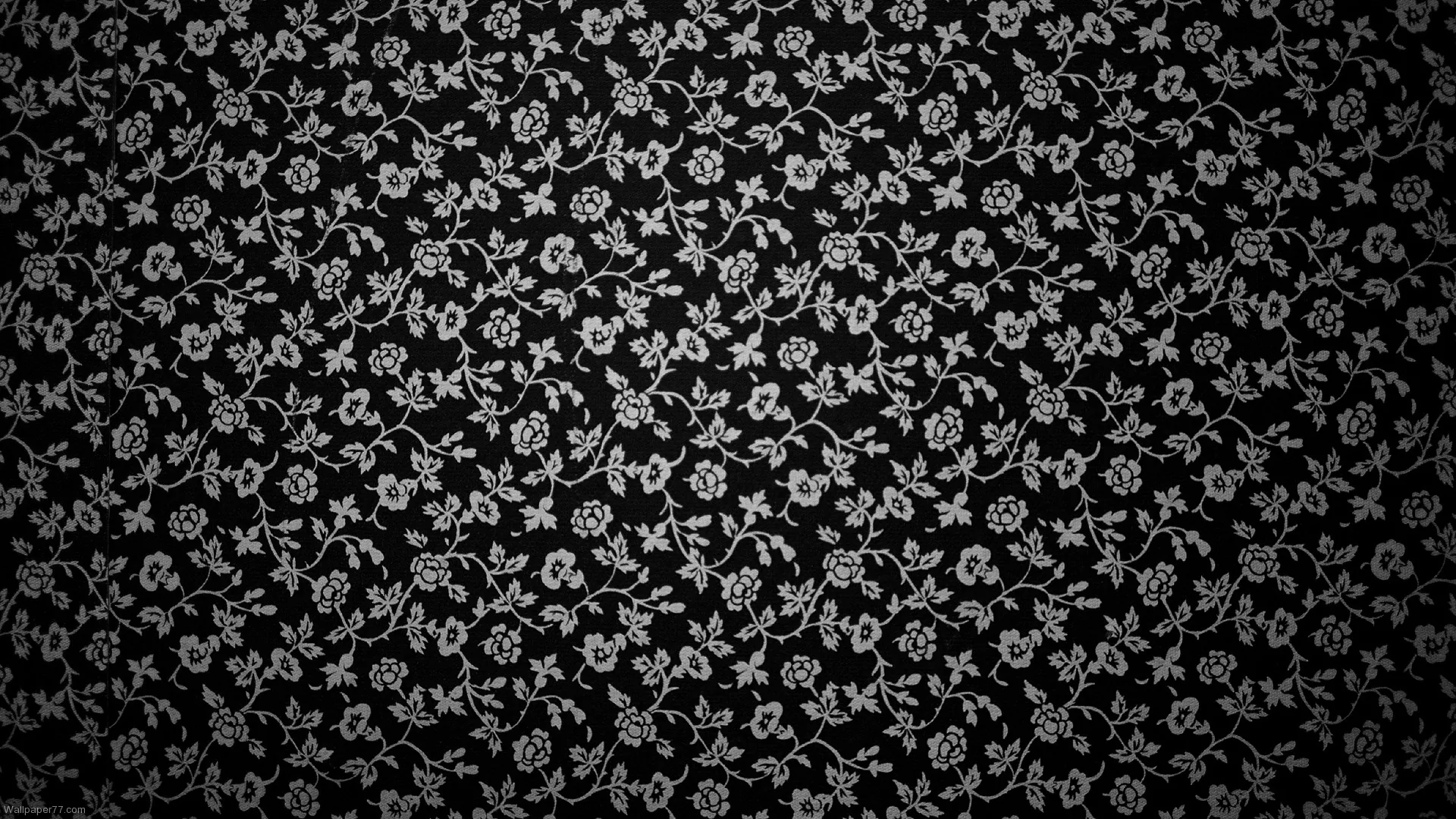Hundreds of tiny five-petal blooms and stems crowd the frame in white, packed like an old cotton print with the corners dimmed by a soft vignette.