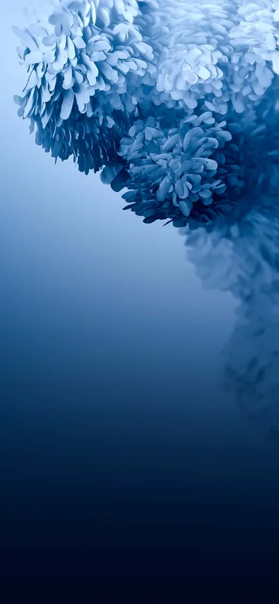 A mass of pale blue petals crowds the top-left corner and thins to mist, leaving the lower two thirds a smooth blue gradient where icons sit cleanly.