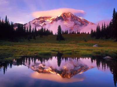 A pink lenticular cloud caps a snow-covered volcano at dusk, firs and meadow ringing a still pond that doubles the whole scene in its lower half.