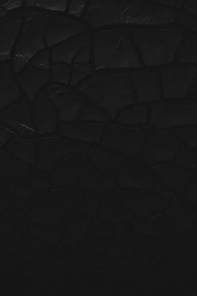 Flakes of dried black paint break into irregular plates across the surface, the cracks between them running deeper than the rest of the frame.
