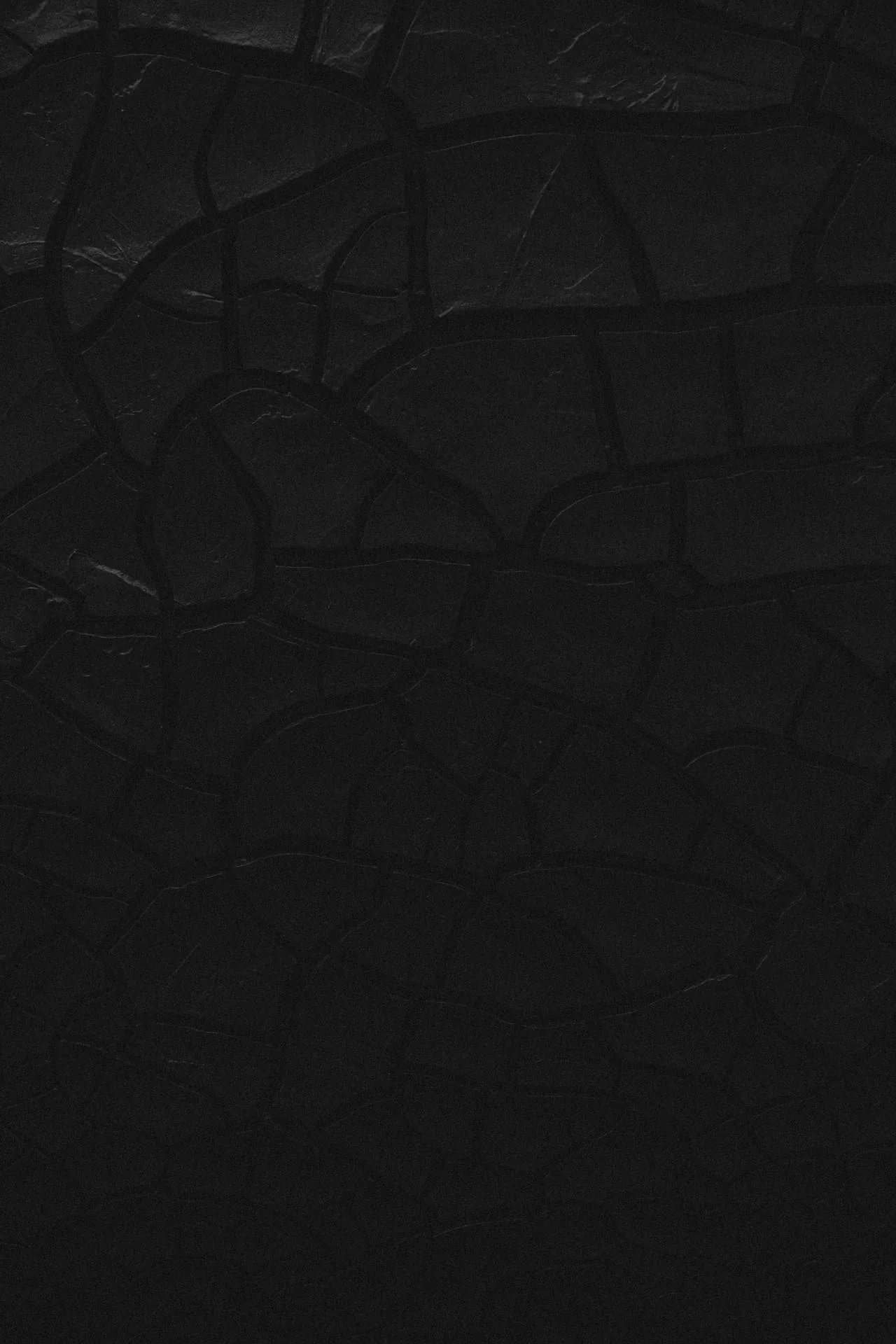 Flakes of dried black paint break into irregular plates across the surface, the cracks between them running deeper than the rest of the frame.