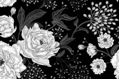 Peonies, tulips and berry sprigs drawn in fine white line work spread across a black ground, printed like a page from an old botanical plate.