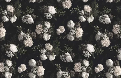 Pale peonies photographed against dark foliage repeat in even rows, the whole thing washed grey so the black between blooms still reads deep.