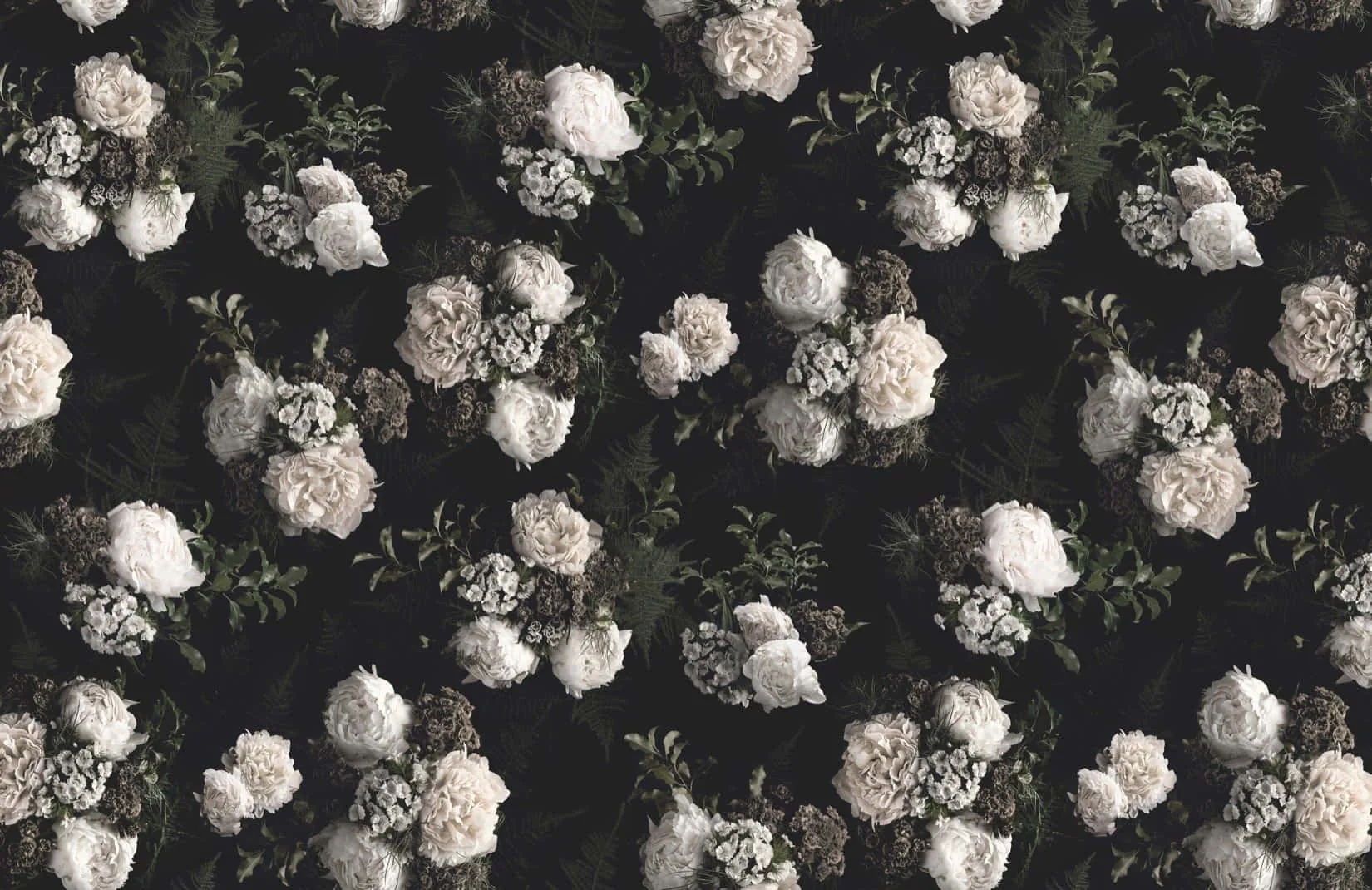 Pale peonies photographed against dark foliage repeat in even rows, the whole thing washed grey so the black between blooms still reads deep.