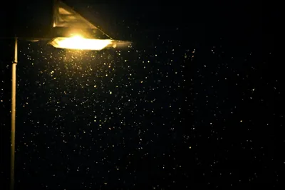 An amber street lamp in the top-left corner lights up falling snowflakes against a black night sky, leaving the entire right side dark for icons.