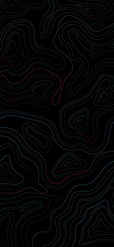 Fine contour rings wind across a tall black field like a survey map, one thin red line tracing a single ridge near the top.