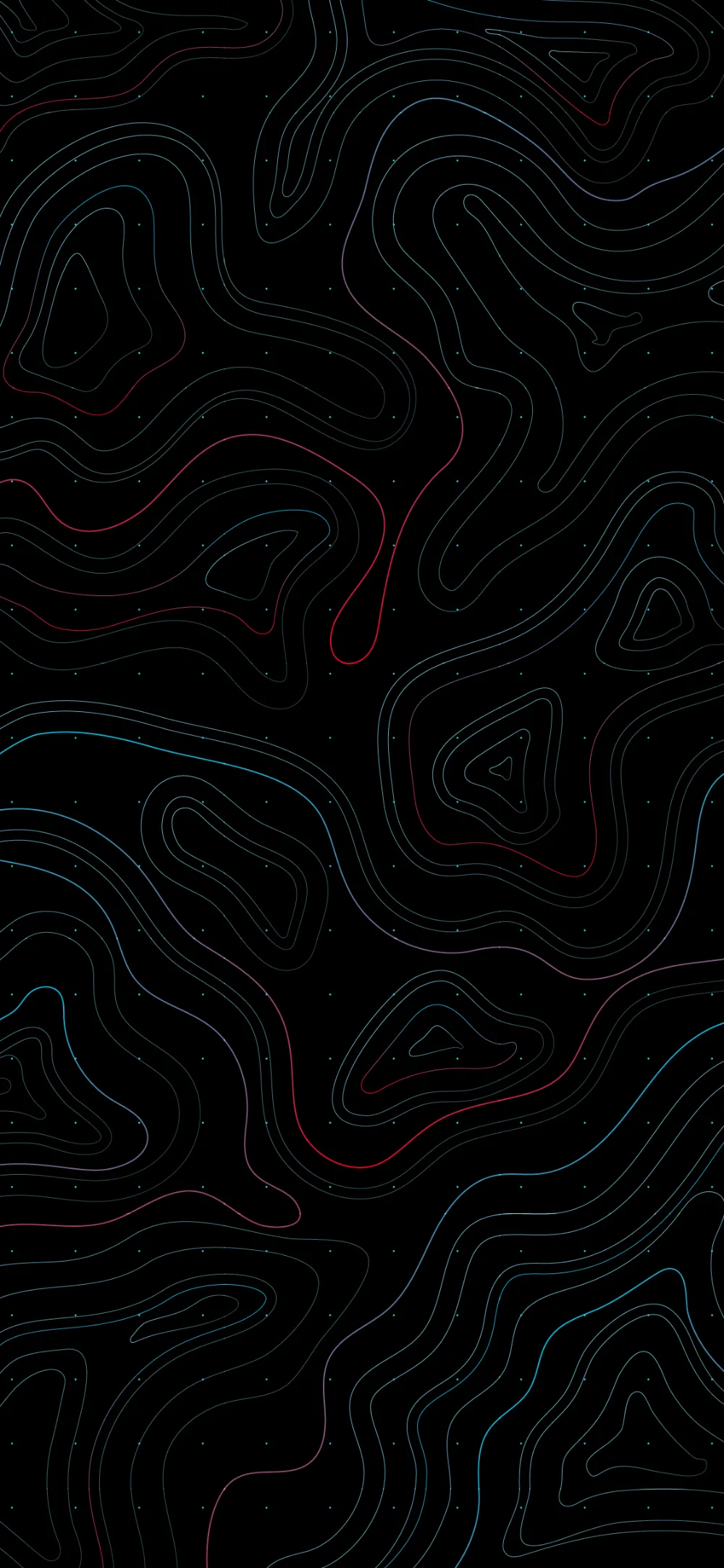 Fine contour rings wind across a tall black field like a survey map, one thin red line tracing a single ridge near the top.