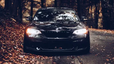 Head-on shot of a black coupe with angel-eye headlights burning through a tunnel of bare autumn trees, leaves banked along the shoulder.