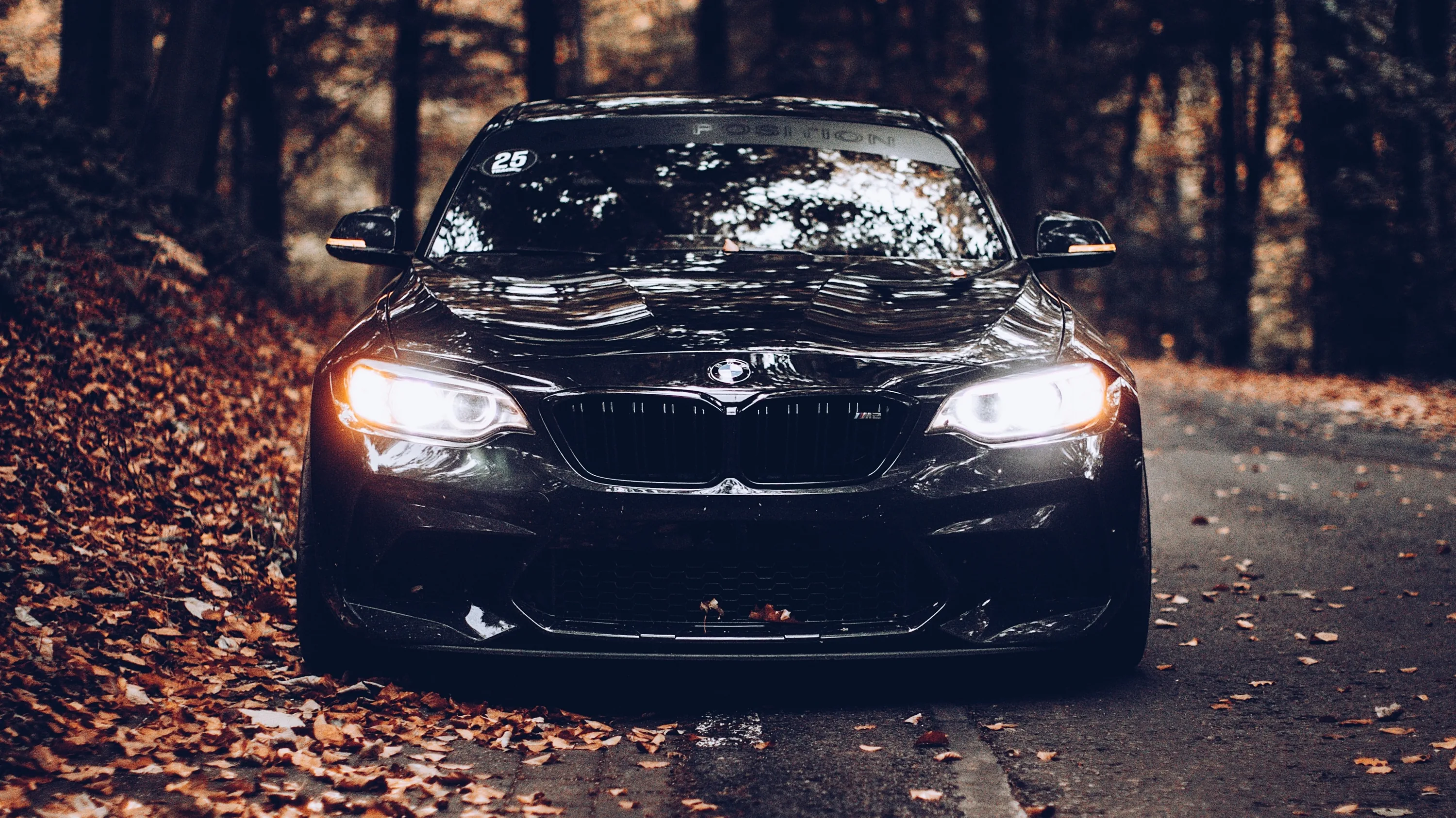 Head-on shot of a black coupe with angel-eye headlights burning through a tunnel of bare autumn trees, leaves banked along the shoulder.