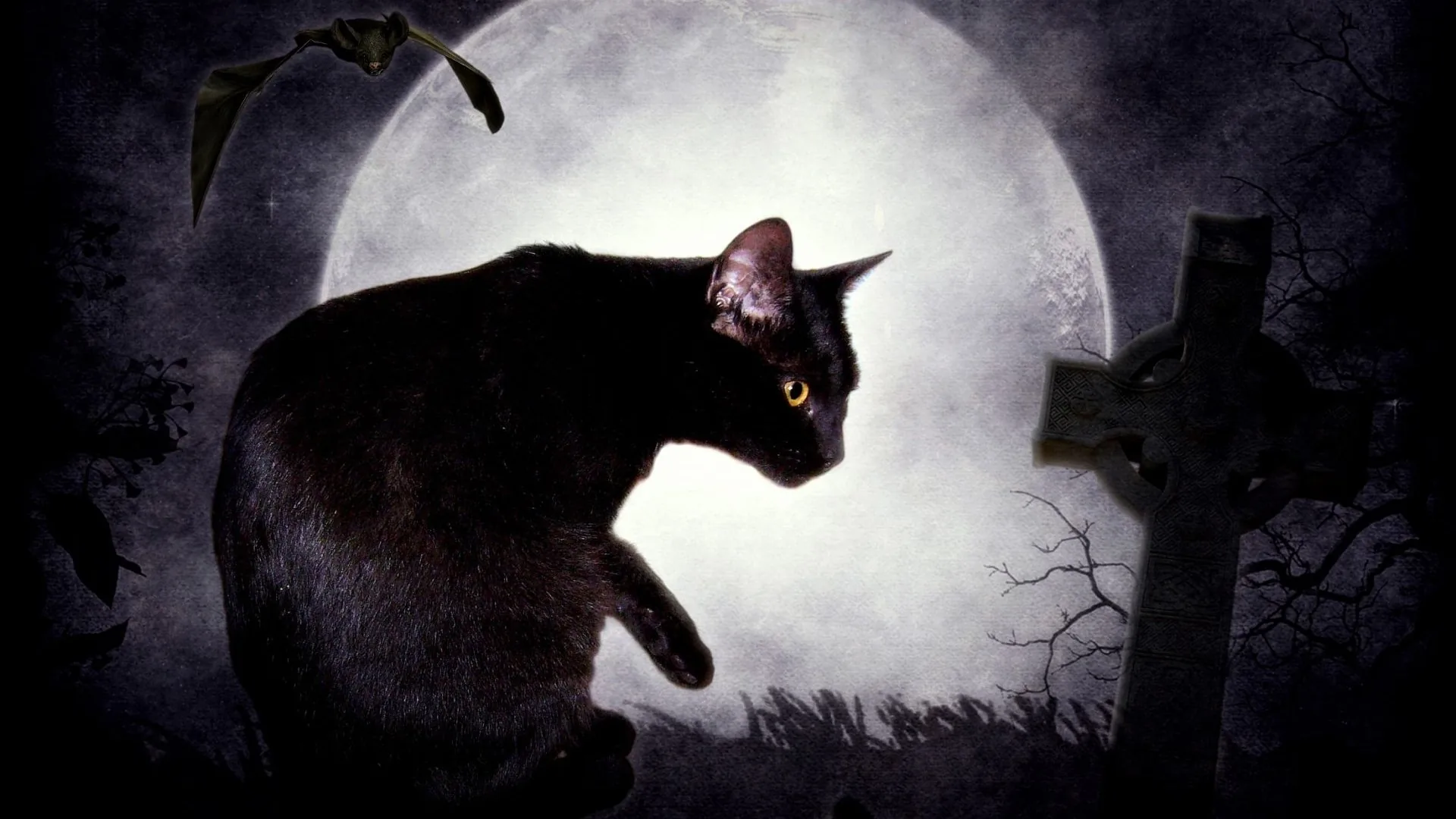 A black cat sits on a grave with a stone cross beside it, a huge moon behind and bats crossing the top left corner.