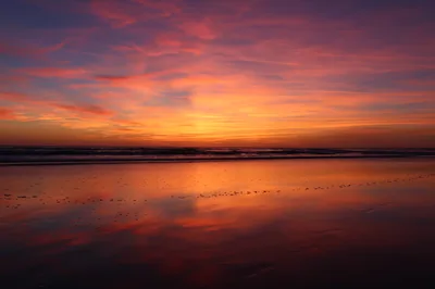 Soft pink and violet streaks fade above a mirror-flat wet shore, the smooth lower half of the frame leaving plenty of room for phone icons.