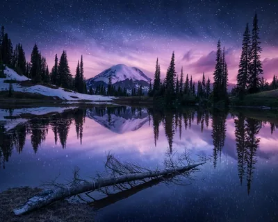 A snow-capped mountain and its pine shoreline mirror in a still lake under a purple starry sky, a fallen log cutting across the lower right.