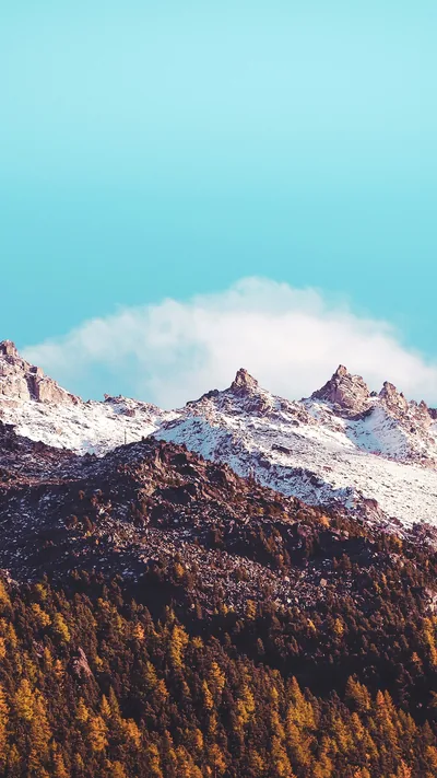 Fresh snow powders a brown ridgeline above a band of orange autumn trees, and the flat teal sky takes up half the frame — clean space for widgets.