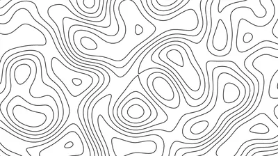 Thin black contour rings nest and loop across white like a topographic survey, tight around the small closed shapes and open elsewhere.
