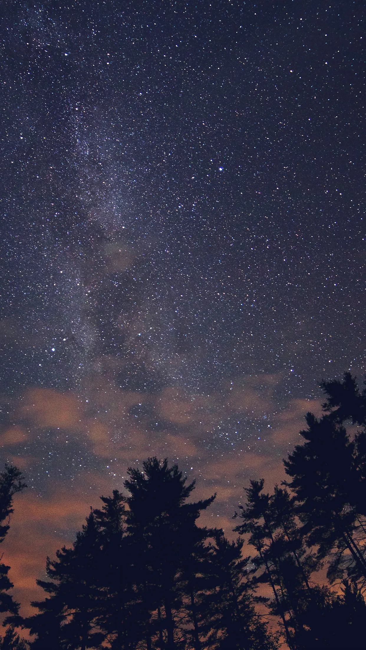 Pink evening clouds hang low over silhouetted treetops while the Milky Way fades in at the upper left of the portrait frame.