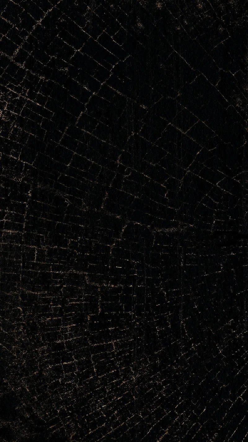 Cracks spread in rings across a burnt black wood face, thin pale lines the only break in the dark.