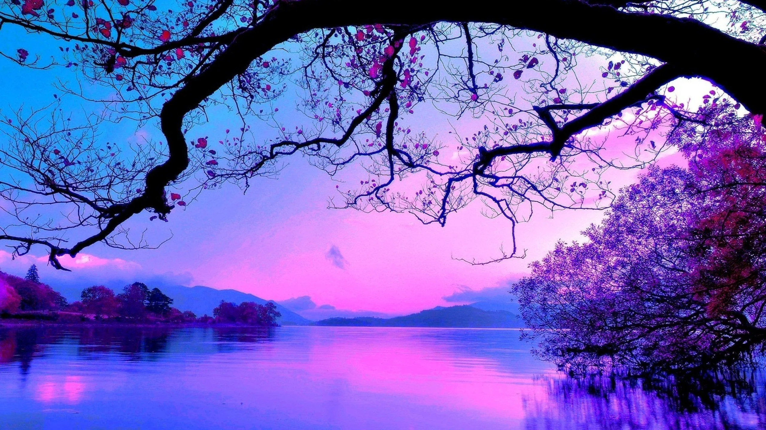 A dark branch arches across the top of the frame above a lake rendered entirely in purples and blues, blossoming trees lining the far shore in this stylised scene.