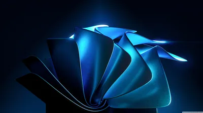 Glossy blue petals fan open from a knot at the bottom left, lit from behind so their thin edges glow against a dark teal wall.