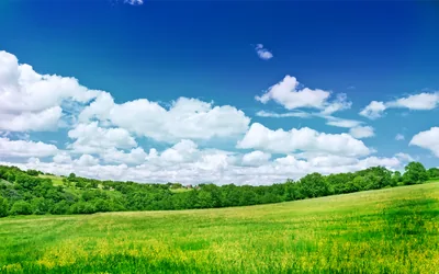 Rolling grass climbs gently from left to right under a wide blue sky; the entire upper half is open air, so icons and widgets sit clear of the treeline.