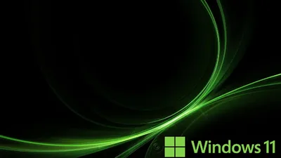 Streams of green light arc across a black field with the Windows 11 mark and wordmark set into the bottom right corner.