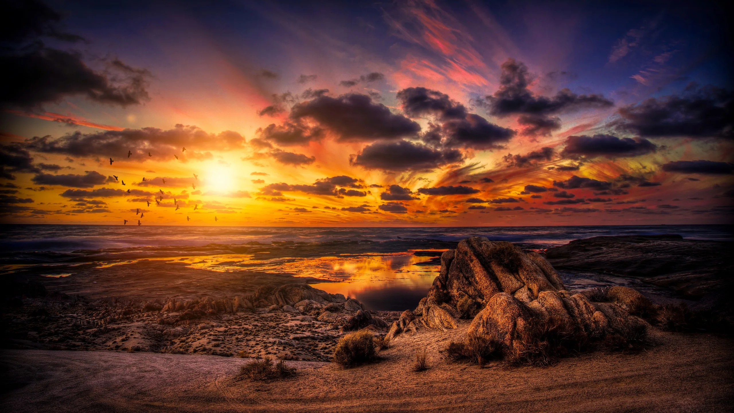 An HDR shot puts a weathered driftwood stump centre-frame while the sun flares low on the left, wet sand channels glowing between shadowed dunes.