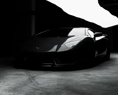 A black Lamborghini waits nose-out in an unlit garage, daylight from the right picking out only the fender line — everything above the roof is pure black.