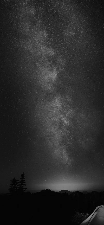 The Milky Way rises through the middle of the frame in black and white, a lone conifer and low hills sitting as flat silhouettes along the bottom.