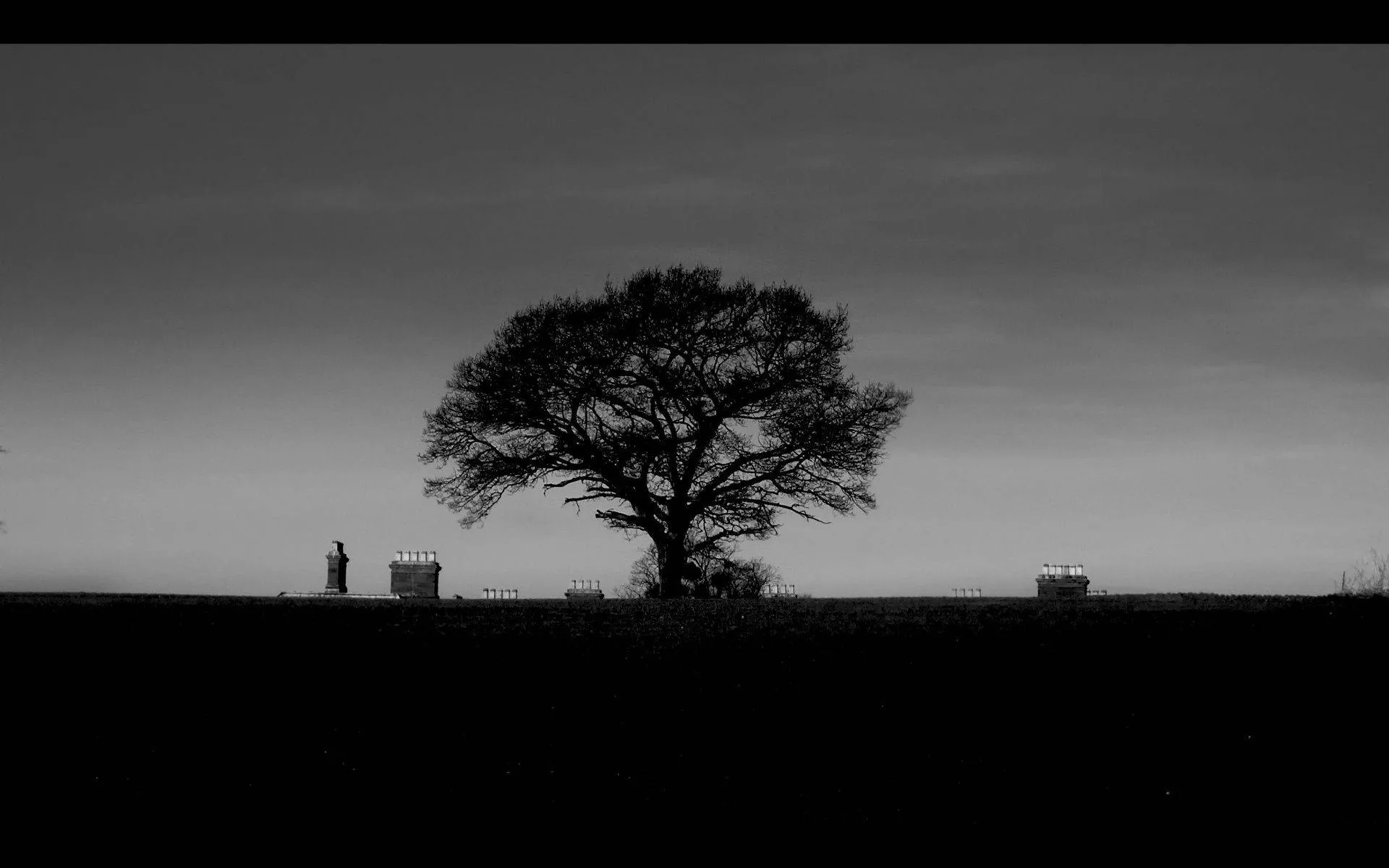 A single broad tree stands black against a grey dusk sky, a small figure and two crates beside it on the flat field, the whole frame in low monochrome.