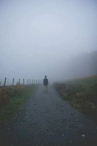 Fog erases the top two thirds of this portrait shot, leaving a lone walker mid-path with a fence line running up the left edge in muted green.