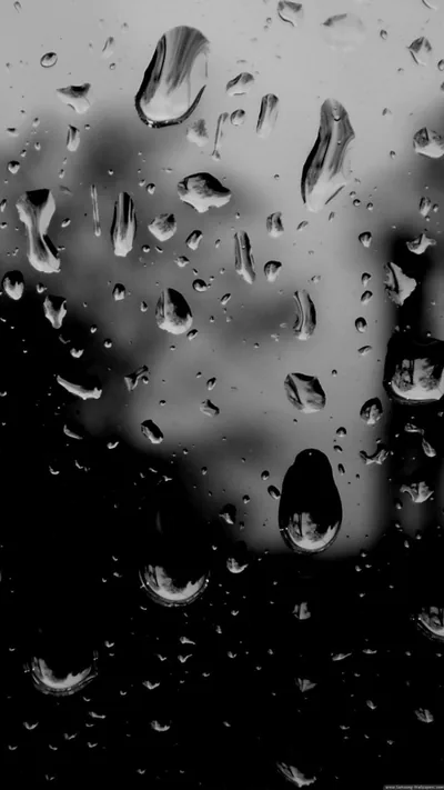 Condensation and fat drops cling to glass, the blurred grey light behind them falling away to black at the bottom.