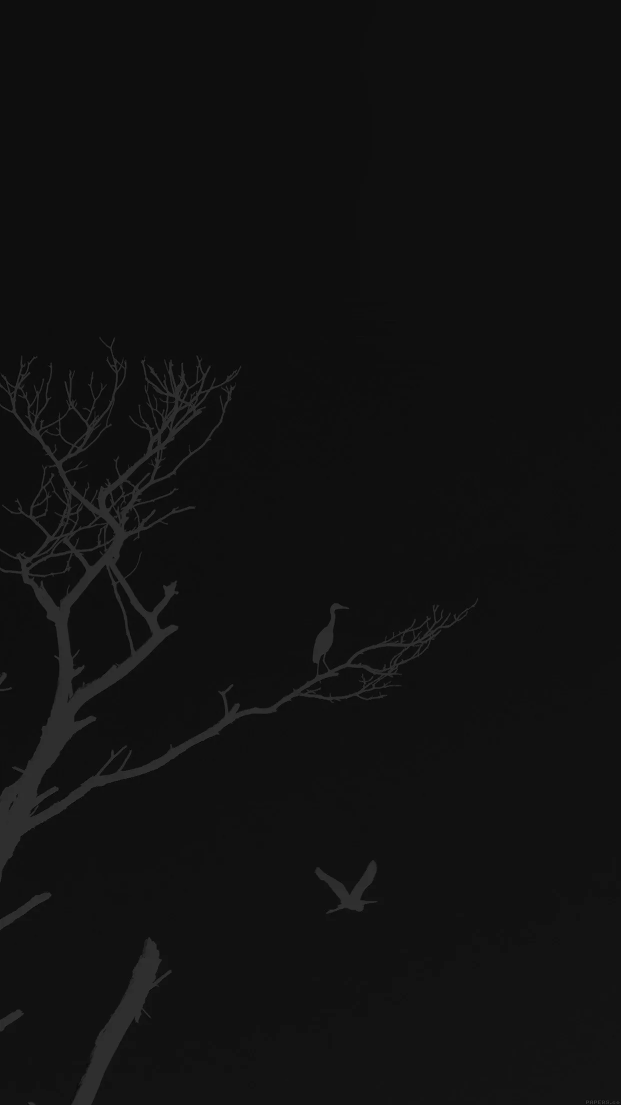 A leafless tree leans in from the left in dark silhouette with a few birds perched and one in flight, the right side of the frame left almost empty.