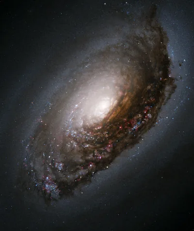 A tilted spiral photographed in close, a heavy band of dust curving across the front of its glowing core with pink knots along the arms.