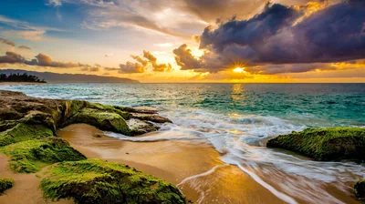 Low golden light rakes across moss-covered rocks as a thin stream of surf drains between them, storm clouds stacking above the horizon.