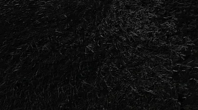 Dense dark leaves cover the frame with almost no tonal range, the light catching a few edges near the top left.