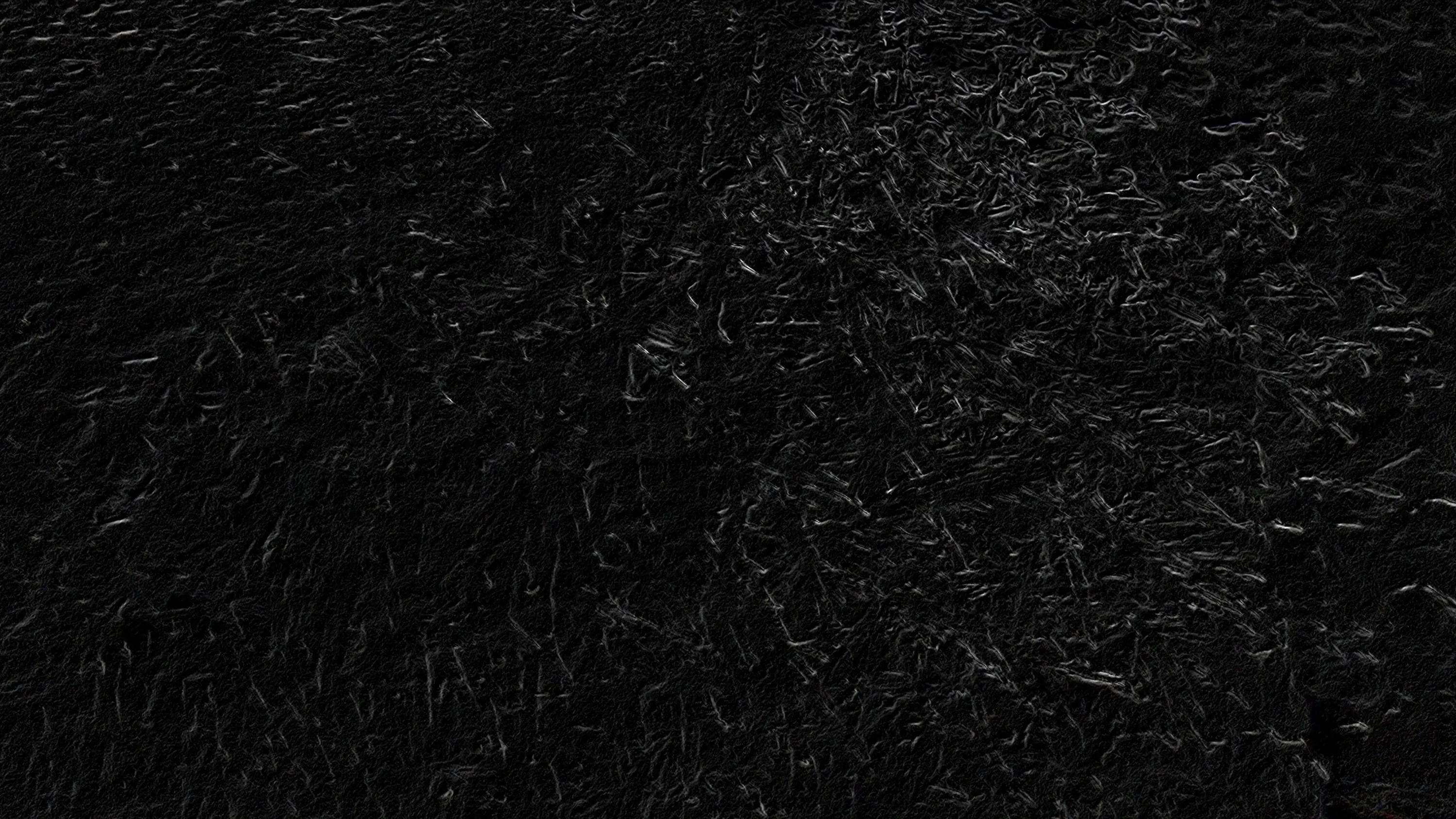 Dense dark leaves cover the frame with almost no tonal range, the light catching a few edges near the top left.