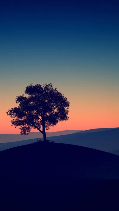 One round-crowned tree stands on a smooth dark hill as orange dusk fades upward into navy, the flat gradient sky leaving generous room for widgets.