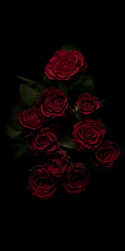 Nine red roses sit in a loose cluster near the centre of a tall frame, the outer petals almost black where the light drops away.