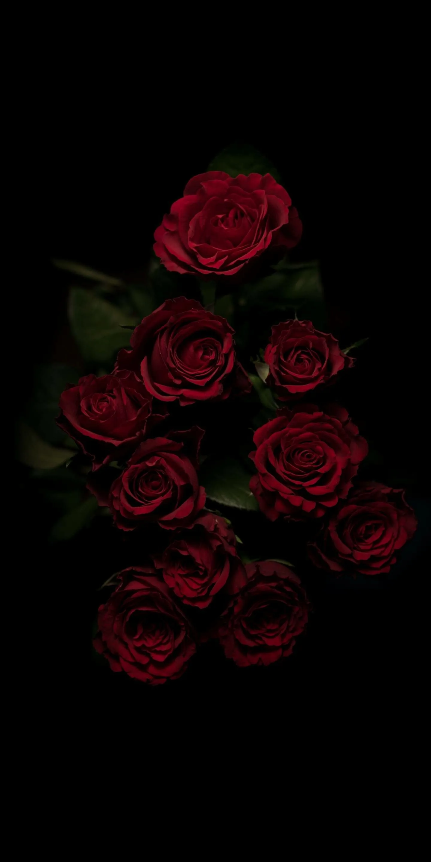 Nine red roses sit in a loose cluster near the centre of a tall frame, the outer petals almost black where the light drops away.