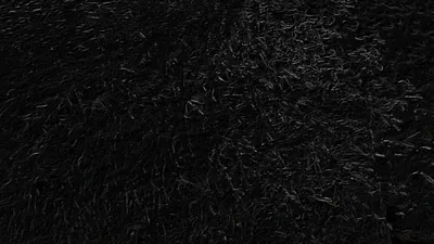 Dense dark grass covers the whole frame, the blades falling in different directions so the light breaks up unevenly.