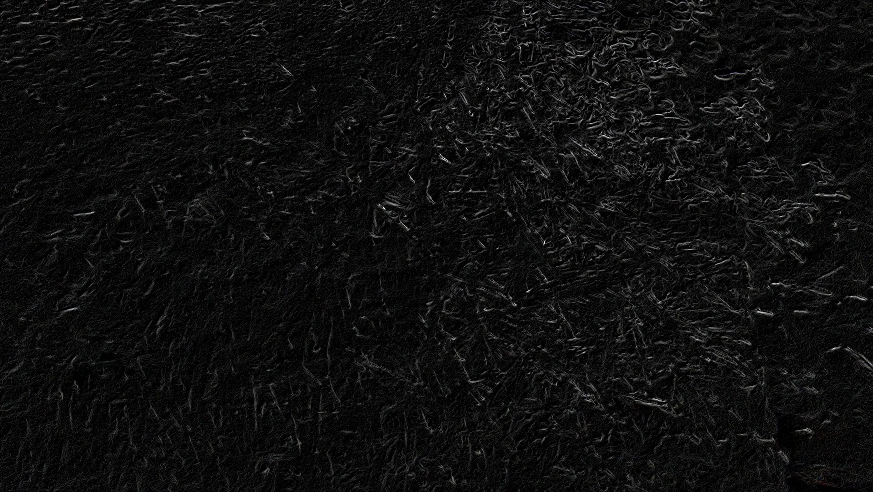 Dense dark grass covers the whole frame, the blades falling in different directions so the light breaks up unevenly.