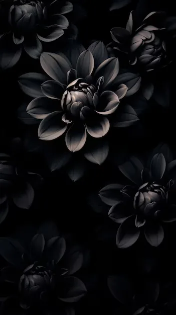 A cluster of dark grey dahlias overlaps across a tall frame, the petals lit just enough at the rims to separate one bloom from the next.