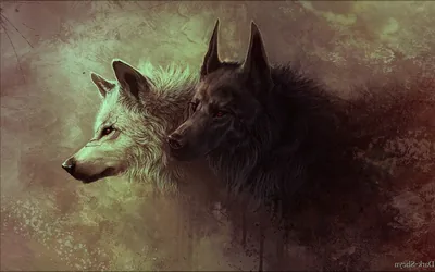 A white wolf and a black wolf rest head to head in profile, painted over mottled sepia and moss-green grunge with rough brushwork at the edges.