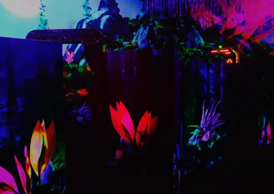 Fluorescent red and orange leaves glow in the foreground of a UV-lit indoor garden, the scene washed in deep blacklight blue.