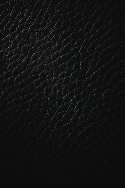 Pebbled leather photographed at an angle, the raised grain picking up a dim light from the left while the folds stay dark.