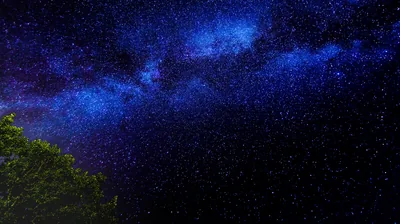 A blue-white band of stars grows denser toward the upper left, with a single green treetop breaking the frame at the bottom corner.